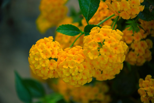 1015904 (a): :3800x2534